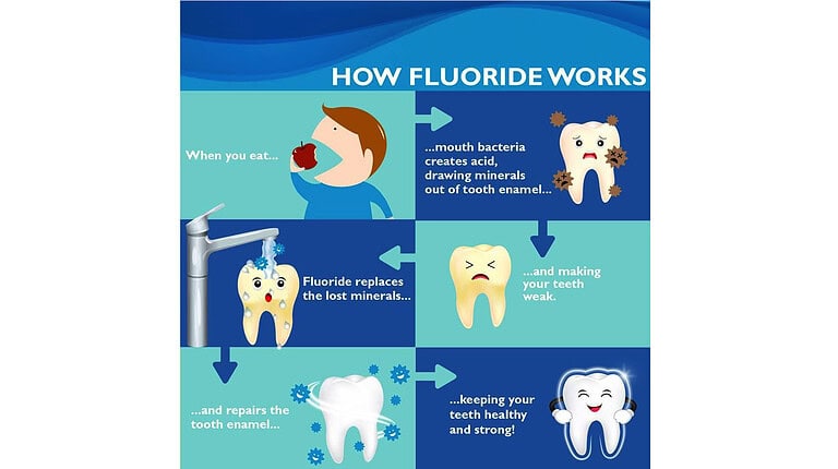 Fluoride fights cavities and keeps your smile bright